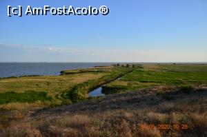 [P34] Canal pe Razelm » foto by KSV
 - 
<span class="allrVoted glyphicon glyphicon-heart hidden" id="av1165344"></span>
<a class="m-l-10 hidden" id="sv1165344" onclick="voting_Foto_DelVot(,1165344,2956)" role="button">șterge vot <span class="glyphicon glyphicon-remove"></span></a>
<a id="v91165344" class=" c-red"  onclick="voting_Foto_SetVot(1165344)" role="button"><span class="glyphicon glyphicon-heart-empty"></span> <b>LIKE</b> = Votează poza</a> <img class="hidden"  id="f1165344W9" src="/imagini/loader.gif" border="0" /><span class="AjErrMes hidden" id="e1165344ErM"></span>