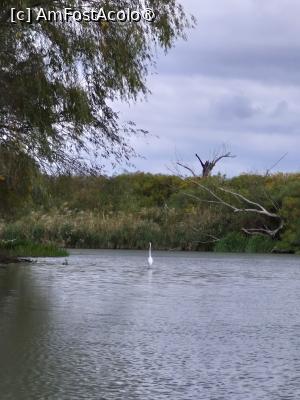 [P43]  -- <small>// FĂRĂ DESCRIERE</small> » foto by raluca banu
 - 
<span class="allrVoted glyphicon glyphicon-heart hidden" id="av1503093"></span>
<a class="m-l-10 hidden" id="sv1503093" onclick="voting_Foto_DelVot(,1503093,2956)" role="button">șterge vot <span class="glyphicon glyphicon-remove"></span></a>
<a id="v91503093" class=" c-red"  onclick="voting_Foto_SetVot(1503093)" role="button"><span class="glyphicon glyphicon-heart-empty"></span> <b>LIKE</b> = Votează poza</a> <img class="hidden"  id="f1503093W9" src="/imagini/loader.gif" border="0" /><span class="AjErrMes hidden" id="e1503093ErM"></span>