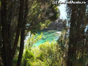 [P02] Marea... Paleokastritsa » foto by bursucicu
 - 
<span class="allrVoted glyphicon glyphicon-heart hidden" id="av662748"></span>
<a class="m-l-10 hidden" id="sv662748" onclick="voting_Foto_DelVot(,662748,3004)" role="button">șterge vot <span class="glyphicon glyphicon-remove"></span></a>
<a id="v9662748" class=" c-red"  onclick="voting_Foto_SetVot(662748)" role="button"><span class="glyphicon glyphicon-heart-empty"></span> <b>LIKE</b> = Votează poza</a> <img class="hidden"  id="f662748W9" src="/imagini/loader.gif" border="0" /><span class="AjErrMes hidden" id="e662748ErM"></span>