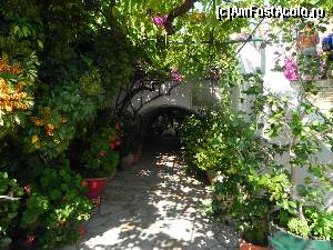 [P121] Prin curtea mănăstirii.  » foto by abancor
 - 
<span class="allrVoted glyphicon glyphicon-heart hidden" id="av572183"></span>
<a class="m-l-10 hidden" id="sv572183" onclick="voting_Foto_DelVot(,572183,3004)" role="button">șterge vot <span class="glyphicon glyphicon-remove"></span></a>
<a id="v9572183" class=" c-red"  onclick="voting_Foto_SetVot(572183)" role="button"><span class="glyphicon glyphicon-heart-empty"></span> <b>LIKE</b> = Votează poza</a> <img class="hidden"  id="f572183W9" src="/imagini/loader.gif" border="0" /><span class="AjErrMes hidden" id="e572183ErM"></span>