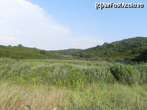 [P30] Balta de la Avlaki, din spatele plajei.  » foto by abancor
 - 
<span class="allrVoted glyphicon glyphicon-heart hidden" id="av572090"></span>
<a class="m-l-10 hidden" id="sv572090" onclick="voting_Foto_DelVot(,572090,3004)" role="button">șterge vot <span class="glyphicon glyphicon-remove"></span></a>
<a id="v9572090" class=" c-red"  onclick="voting_Foto_SetVot(572090)" role="button"><span class="glyphicon glyphicon-heart-empty"></span> <b>LIKE</b> = Votează poza</a> <img class="hidden"  id="f572090W9" src="/imagini/loader.gif" border="0" /><span class="AjErrMes hidden" id="e572090ErM"></span>