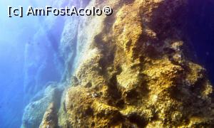 [P14] Lumea submarină » foto by Lucien
 - 
<span class="allrVoted glyphicon glyphicon-heart hidden" id="av729760"></span>
<a class="m-l-10 hidden" id="sv729760" onclick="voting_Foto_DelVot(,729760,3004)" role="button">șterge vot <span class="glyphicon glyphicon-remove"></span></a>
<a id="v9729760" class=" c-red"  onclick="voting_Foto_SetVot(729760)" role="button"><span class="glyphicon glyphicon-heart-empty"></span> <b>LIKE</b> = Votează poza</a> <img class="hidden"  id="f729760W9" src="/imagini/loader.gif" border="0" /><span class="AjErrMes hidden" id="e729760ErM"></span>