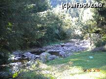 [P01] Raul de la Cateaua Lesinata » foto by Alina Morar
 - 
<span class="allrVoted glyphicon glyphicon-heart hidden" id="av126934"></span>
<a class="m-l-10 hidden" id="sv126934" onclick="voting_Foto_DelVot(,126934,3018)" role="button">șterge vot <span class="glyphicon glyphicon-remove"></span></a>
<a id="v9126934" class=" c-red"  onclick="voting_Foto_SetVot(126934)" role="button"><span class="glyphicon glyphicon-heart-empty"></span> <b>LIKE</b> = Votează poza</a> <img class="hidden"  id="f126934W9" src="/imagini/loader.gif" border="0" /><span class="AjErrMes hidden" id="e126934ErM"></span>