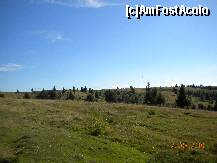 [P06] Sus pe munte la Dealu Negru » foto by Alina Morar
 - 
<span class="allrVoted glyphicon glyphicon-heart hidden" id="av126958"></span>
<a class="m-l-10 hidden" id="sv126958" onclick="voting_Foto_DelVot(,126958,3018)" role="button">șterge vot <span class="glyphicon glyphicon-remove"></span></a>
<a id="v9126958" class=" c-red"  onclick="voting_Foto_SetVot(126958)" role="button"><span class="glyphicon glyphicon-heart-empty"></span> <b>LIKE</b> = Votează poza</a> <img class="hidden"  id="f126958W9" src="/imagini/loader.gif" border="0" /><span class="AjErrMes hidden" id="e126958ErM"></span>