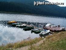 [P14] La ponton se afla numerele de telefon si tarifele, suni si vine proprietarul, barcile cu vasle erau 15 lei/ora ... » foto by dartax
 - 
<span class="allrVoted glyphicon glyphicon-heart hidden" id="av96774"></span>
<a class="m-l-10 hidden" id="sv96774" onclick="voting_Foto_DelVot(,96774,3018)" role="button">șterge vot <span class="glyphicon glyphicon-remove"></span></a>
<a id="v996774" class=" c-red"  onclick="voting_Foto_SetVot(96774)" role="button"><span class="glyphicon glyphicon-heart-empty"></span> <b>LIKE</b> = Votează poza</a> <img class="hidden"  id="f96774W9" src="/imagini/loader.gif" border="0" /><span class="AjErrMes hidden" id="e96774ErM"></span>