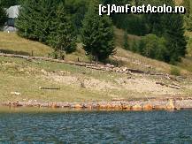 [P19] Pe vremuri exista si o pluta din lemn, poate va aparea din nou ... » foto by dartax
 - 
<span class="allrVoted glyphicon glyphicon-heart hidden" id="av96779"></span>
<a class="m-l-10 hidden" id="sv96779" onclick="voting_Foto_DelVot(,96779,3018)" role="button">șterge vot <span class="glyphicon glyphicon-remove"></span></a>
<a id="v996779" class=" c-red"  onclick="voting_Foto_SetVot(96779)" role="button"><span class="glyphicon glyphicon-heart-empty"></span> <b>LIKE</b> = Votează poza</a> <img class="hidden"  id="f96779W9" src="/imagini/loader.gif" border="0" /><span class="AjErrMes hidden" id="e96779ErM"></span>