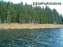 [P21] Pescari pe mal - Vreti un pastrav? » foto by dartax
 - 
<span class="allrVoted glyphicon glyphicon-heart hidden" id="av96781"></span>
<a class="m-l-10 hidden" id="sv96781" onclick="voting_Foto_DelVot(,96781,3018)" role="button">șterge vot <span class="glyphicon glyphicon-remove"></span></a>
<a id="v996781" class=" c-red"  onclick="voting_Foto_SetVot(96781)" role="button"><span class="glyphicon glyphicon-heart-empty"></span> <b>LIKE</b> = Votează poza</a> <img class="hidden"  id="f96781W9" src="/imagini/loader.gif" border="0" /><span class="AjErrMes hidden" id="e96781ErM"></span>