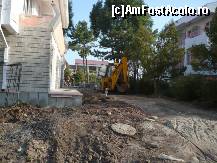 [P03] no comment » foto by vasile2010*
 - 
<span class="allrVoted glyphicon glyphicon-heart hidden" id="av107014"></span>
<a class="m-l-10 hidden" id="sv107014" onclick="voting_Foto_DelVot(,107014,3025)" role="button">șterge vot <span class="glyphicon glyphicon-remove"></span></a>
<a id="v9107014" class=" c-red"  onclick="voting_Foto_SetVot(107014)" role="button"><span class="glyphicon glyphicon-heart-empty"></span> <b>LIKE</b> = Votează poza</a> <img class="hidden"  id="f107014W9" src="/imagini/loader.gif" border="0" /><span class="AjErrMes hidden" id="e107014ErM"></span>