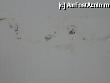 [P05] IGRASIE DE PATRU STELE » foto by Abdul
 - 
<span class="allrVoted glyphicon glyphicon-heart hidden" id="av13119"></span>
<a class="m-l-10 hidden" id="sv13119" onclick="voting_Foto_DelVot(,13119,3025)" role="button">șterge vot <span class="glyphicon glyphicon-remove"></span></a>
<a id="v913119" class=" c-red"  onclick="voting_Foto_SetVot(13119)" role="button"><span class="glyphicon glyphicon-heart-empty"></span> <b>LIKE</b> = Votează poza</a> <img class="hidden"  id="f13119W9" src="/imagini/loader.gif" border="0" /><span class="AjErrMes hidden" id="e13119ErM"></span>