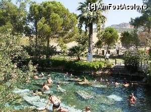 [P18] O baie printre ruinele antice - Pumakkale » foto by yuly68*
 - 
<span class="allrVoted glyphicon glyphicon-heart hidden" id="av386677"></span>
<a class="m-l-10 hidden" id="sv386677" onclick="voting_Foto_DelVot(,386677,3039)" role="button">șterge vot <span class="glyphicon glyphicon-remove"></span></a>
<a id="v9386677" class=" c-red"  onclick="voting_Foto_SetVot(386677)" role="button"><span class="glyphicon glyphicon-heart-empty"></span> <b>LIKE</b> = Votează poza</a> <img class="hidden"  id="f386677W9" src="/imagini/loader.gif" border="0" /><span class="AjErrMes hidden" id="e386677ErM"></span>