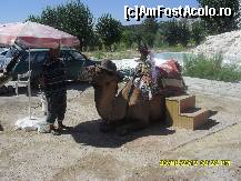 [P165]  -- <small>// FĂRĂ DESCRIERE</small> » foto by adryana
 - 
<span class="allrVoted glyphicon glyphicon-heart hidden" id="av372582"></span>
<a class="m-l-10 hidden" id="sv372582" onclick="voting_Foto_DelVot(,372582,3039)" role="button">șterge vot <span class="glyphicon glyphicon-remove"></span></a>
<a id="v9372582" class=" c-red"  onclick="voting_Foto_SetVot(372582)" role="button"><span class="glyphicon glyphicon-heart-empty"></span> <b>LIKE</b> = Votează poza</a> <img class="hidden"  id="f372582W9" src="/imagini/loader.gif" border="0" /><span class="AjErrMes hidden" id="e372582ErM"></span>