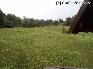 [P02] Asa ne trezeam dimineata! In aer curat!  » foto by laura mihaela
 - 
<span class="allrVoted glyphicon glyphicon-heart hidden" id="av666202"></span>
<a class="m-l-10 hidden" id="sv666202" onclick="voting_Foto_DelVot(,666202,3080)" role="button">șterge vot <span class="glyphicon glyphicon-remove"></span></a>
<a id="v9666202" class=" c-red"  onclick="voting_Foto_SetVot(666202)" role="button"><span class="glyphicon glyphicon-heart-empty"></span> <b>LIKE</b> = Votează poza</a> <img class="hidden"  id="f666202W9" src="/imagini/loader.gif" border="0" /><span class="AjErrMes hidden" id="e666202ErM"></span>