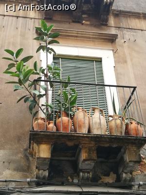 [P58] Catania boemă » foto by crismis
 - 
<span class="allrVoted glyphicon glyphicon-heart hidden" id="av1049565"></span>
<a class="m-l-10 hidden" id="sv1049565" onclick="voting_Foto_DelVot(,1049565,3109)" role="button">șterge vot <span class="glyphicon glyphicon-remove"></span></a>
<a id="v91049565" class=" c-red"  onclick="voting_Foto_SetVot(1049565)" role="button"><span class="glyphicon glyphicon-heart-empty"></span> <b>LIKE</b> = Votează poza</a> <img class="hidden"  id="f1049565W9" src="/imagini/loader.gif" border="0" /><span class="AjErrMes hidden" id="e1049565ErM"></span>