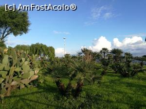 [P40] Parco del Faro » foto by crismis
 - 
<span class="allrVoted glyphicon glyphicon-heart hidden" id="av1049912"></span>
<a class="m-l-10 hidden" id="sv1049912" onclick="voting_Foto_DelVot(,1049912,3109)" role="button">șterge vot <span class="glyphicon glyphicon-remove"></span></a>
<a id="v91049912" class=" c-red"  onclick="voting_Foto_SetVot(1049912)" role="button"><span class="glyphicon glyphicon-heart-empty"></span> <b>LIKE</b> = Votează poza</a> <img class="hidden"  id="f1049912W9" src="/imagini/loader.gif" border="0" /><span class="AjErrMes hidden" id="e1049912ErM"></span>