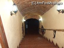 [P13] intrare crama » foto by cosminp
 - 
<span class="allrVoted glyphicon glyphicon-heart hidden" id="av14508"></span>
<a class="m-l-10 hidden" id="sv14508" onclick="voting_Foto_DelVot(,14508,3120)" role="button">șterge vot <span class="glyphicon glyphicon-remove"></span></a>
<a id="v914508" class=" c-red"  onclick="voting_Foto_SetVot(14508)" role="button"><span class="glyphicon glyphicon-heart-empty"></span> <b>LIKE</b> = Votează poza</a> <img class="hidden"  id="f14508W9" src="/imagini/loader.gif" border="0" /><span class="AjErrMes hidden" id="e14508ErM"></span>