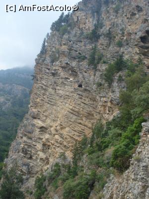 [P60]  -- <small>// FĂRĂ DESCRIERE</small> » foto by adryana
 - 
<span class="allrVoted glyphicon glyphicon-heart hidden" id="av1092464"></span>
<a class="m-l-10 hidden" id="sv1092464" onclick="voting_Foto_DelVot(,1092464,3123)" role="button">șterge vot <span class="glyphicon glyphicon-remove"></span></a>
<a id="v91092464" class=" c-red"  onclick="voting_Foto_SetVot(1092464)" role="button"><span class="glyphicon glyphicon-heart-empty"></span> <b>LIKE</b> = Votează poza</a> <img class="hidden"  id="f1092464W9" src="/imagini/loader.gif" border="0" /><span class="AjErrMes hidden" id="e1092464ErM"></span>