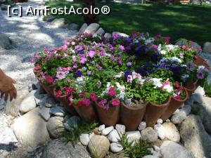 [P22]  -- <small>// FĂRĂ DESCRIERE</small> » foto by adryana
 - 
<span class="allrVoted glyphicon glyphicon-heart hidden" id="av1092510"></span>
<a class="m-l-10 hidden" id="sv1092510" onclick="voting_Foto_DelVot(,1092510,3123)" role="button">șterge vot <span class="glyphicon glyphicon-remove"></span></a>
<a id="v91092510" class=" c-red"  onclick="voting_Foto_SetVot(1092510)" role="button"><span class="glyphicon glyphicon-heart-empty"></span> <b>LIKE</b> = Votează poza</a> <img class="hidden"  id="f1092510W9" src="/imagini/loader.gif" border="0" /><span class="AjErrMes hidden" id="e1092510ErM"></span>