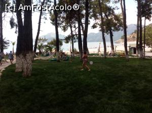 [P29] Kidrak beach » foto by adryana
 - 
<span class="allrVoted glyphicon glyphicon-heart hidden" id="av1092523"></span>
<a class="m-l-10 hidden" id="sv1092523" onclick="voting_Foto_DelVot(,1092523,3123)" role="button">șterge vot <span class="glyphicon glyphicon-remove"></span></a>
<a id="v91092523" class=" c-red"  onclick="voting_Foto_SetVot(1092523)" role="button"><span class="glyphicon glyphicon-heart-empty"></span> <b>LIKE</b> = Votează poza</a> <img class="hidden"  id="f1092523W9" src="/imagini/loader.gif" border="0" /><span class="AjErrMes hidden" id="e1092523ErM"></span>