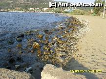 [P10] plaja hotelului Efesus Princess » foto by adryana
 - 
<span class="allrVoted glyphicon glyphicon-heart hidden" id="av221757"></span>
<a class="m-l-10 hidden" id="sv221757" onclick="voting_Foto_DelVot(,221757,3144)" role="button">șterge vot <span class="glyphicon glyphicon-remove"></span></a>
<a id="v9221757" class=" c-red"  onclick="voting_Foto_SetVot(221757)" role="button"><span class="glyphicon glyphicon-heart-empty"></span> <b>LIKE</b> = Votează poza</a> <img class="hidden"  id="f221757W9" src="/imagini/loader.gif" border="0" /><span class="AjErrMes hidden" id="e221757ErM"></span>