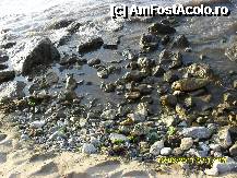 [P13] intrarea in mare a hotelului Efesus Princess » foto by adryana
 - 
<span class="allrVoted glyphicon glyphicon-heart hidden" id="av221760"></span>
<a class="m-l-10 hidden" id="sv221760" onclick="voting_Foto_DelVot(,221760,3144)" role="button">șterge vot <span class="glyphicon glyphicon-remove"></span></a>
<a id="v9221760" class=" c-red"  onclick="voting_Foto_SetVot(221760)" role="button"><span class="glyphicon glyphicon-heart-empty"></span> <b>LIKE</b> = Votează poza</a> <img class="hidden"  id="f221760W9" src="/imagini/loader.gif" border="0" /><span class="AjErrMes hidden" id="e221760ErM"></span>