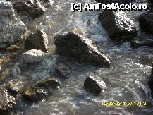 [P06] plaja hotelului Efesus Princess » foto by adryana
 - 
<span class="allrVoted glyphicon glyphicon-heart hidden" id="av221753"></span>
<a class="m-l-10 hidden" id="sv221753" onclick="voting_Foto_DelVot(,221753,3144)" role="button">șterge vot <span class="glyphicon glyphicon-remove"></span></a>
<a id="v9221753" class=" c-red"  onclick="voting_Foto_SetVot(221753)" role="button"><span class="glyphicon glyphicon-heart-empty"></span> <b>LIKE</b> = Votează poza</a> <img class="hidden"  id="f221753W9" src="/imagini/loader.gif" border="0" /><span class="AjErrMes hidden" id="e221753ErM"></span>