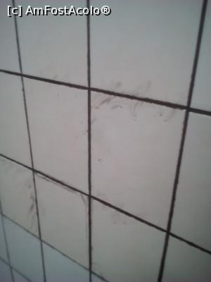 [P07] Mucegaiul din baie » foto by Maria36
 - 
<span class="allrVoted glyphicon glyphicon-heart hidden" id="av1001569"></span>
<a class="m-l-10 hidden" id="sv1001569" onclick="voting_Foto_DelVot(,1001569,3163)" role="button">șterge vot <span class="glyphicon glyphicon-remove"></span></a>
<a id="v91001569" class=" c-red"  onclick="voting_Foto_SetVot(1001569)" role="button"><span class="glyphicon glyphicon-heart-empty"></span> <b>LIKE</b> = Votează poza</a> <img class="hidden"  id="f1001569W9" src="/imagini/loader.gif" border="0" /><span class="AjErrMes hidden" id="e1001569ErM"></span>