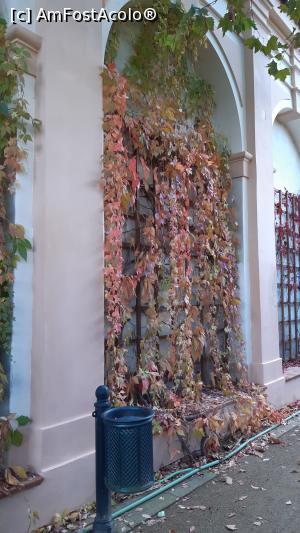 [P30] Palatul și grădina Wallenstein » foto by Carmen Ion
 - 
<span class="allrVoted glyphicon glyphicon-heart hidden" id="av1287411"></span>
<a class="m-l-10 hidden" id="sv1287411" onclick="voting_Foto_DelVot(,1287411,3167)" role="button">șterge vot <span class="glyphicon glyphicon-remove"></span></a>
<a id="v91287411" class=" c-red"  onclick="voting_Foto_SetVot(1287411)" role="button"><span class="glyphicon glyphicon-heart-empty"></span> <b>LIKE</b> = Votează poza</a> <img class="hidden"  id="f1287411W9" src="/imagini/loader.gif" border="0" /><span class="AjErrMes hidden" id="e1287411ErM"></span>