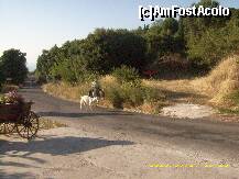 [P11] un localnic pe magarus » foto by poli2808_tim
 - 
<span class="allrVoted glyphicon glyphicon-heart hidden" id="av176404"></span>
<a class="m-l-10 hidden" id="sv176404" onclick="voting_Foto_DelVot(,176404,3173)" role="button">șterge vot <span class="glyphicon glyphicon-remove"></span></a>
<a id="v9176404" class=" c-red"  onclick="voting_Foto_SetVot(176404)" role="button"><span class="glyphicon glyphicon-heart-empty"></span> <b>LIKE</b> = Votează poza</a> <img class="hidden"  id="f176404W9" src="/imagini/loader.gif" border="0" /><span class="AjErrMes hidden" id="e176404ErM"></span>