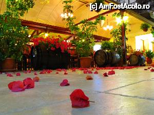 [P21] Terasa in Nidri.  » foto by no_oxigen
 - 
<span class="allrVoted glyphicon glyphicon-heart hidden" id="av406287"></span>
<a class="m-l-10 hidden" id="sv406287" onclick="voting_Foto_DelVot(,406287,3173)" role="button">șterge vot <span class="glyphicon glyphicon-remove"></span></a>
<a id="v9406287" class=" c-red"  onclick="voting_Foto_SetVot(406287)" role="button"><span class="glyphicon glyphicon-heart-empty"></span> <b>LIKE</b> = Votează poza</a> <img class="hidden"  id="f406287W9" src="/imagini/loader.gif" border="0" /><span class="AjErrMes hidden" id="e406287ErM"></span>