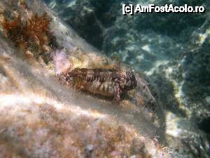 [P32]  -- <small>// FĂRĂ DESCRIERE</small> » foto by no_oxigen
 - 
<span class="allrVoted glyphicon glyphicon-heart hidden" id="av406298"></span>
<a class="m-l-10 hidden" id="sv406298" onclick="voting_Foto_DelVot(,406298,3173)" role="button">șterge vot <span class="glyphicon glyphicon-remove"></span></a>
<a id="v9406298" class=" c-red"  onclick="voting_Foto_SetVot(406298)" role="button"><span class="glyphicon glyphicon-heart-empty"></span> <b>LIKE</b> = Votează poza</a> <img class="hidden"  id="f406298W9" src="/imagini/loader.gif" border="0" /><span class="AjErrMes hidden" id="e406298ErM"></span>