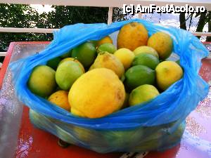 [P43] Romanu' tot roman... pana nu ia el o sacose de laamai...  » foto by no_oxigen
 - 
<span class="allrVoted glyphicon glyphicon-heart hidden" id="av406309"></span>
<a class="m-l-10 hidden" id="sv406309" onclick="voting_Foto_DelVot(,406309,3173)" role="button">șterge vot <span class="glyphicon glyphicon-remove"></span></a>
<a id="v9406309" class=" c-red"  onclick="voting_Foto_SetVot(406309)" role="button"><span class="glyphicon glyphicon-heart-empty"></span> <b>LIKE</b> = Votează poza</a> <img class="hidden"  id="f406309W9" src="/imagini/loader.gif" border="0" /><span class="AjErrMes hidden" id="e406309ErM"></span>