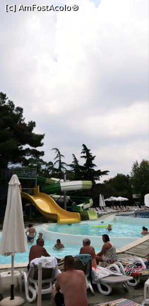 [P01]  -- <small>// FĂRĂ DESCRIERE</small> » foto by laurak
 - 
<span class="allrVoted glyphicon glyphicon-heart hidden" id="av1079487"></span>
<a class="m-l-10 hidden" id="sv1079487" onclick="voting_Foto_DelVot(,1079487,3177)" role="button">șterge vot <span class="glyphicon glyphicon-remove"></span></a>
<a id="v91079487" class=" c-red"  onclick="voting_Foto_SetVot(1079487)" role="button"><span class="glyphicon glyphicon-heart-empty"></span> <b>LIKE</b> = Votează poza</a> <img class="hidden"  id="f1079487W9" src="/imagini/loader.gif" border="0" /><span class="AjErrMes hidden" id="e1079487ErM"></span>