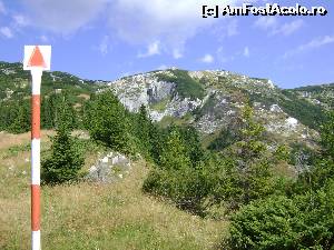 [P01] Prin golul alpin spre Piatra Iorgovanului (ascunsa dupa culme :))  » foto by Testosu'
 - 
<span class="allrVoted glyphicon glyphicon-heart hidden" id="av559978"></span>
<a class="m-l-10 hidden" id="sv559978" onclick="voting_Foto_DelVot(,559978,3180)" role="button">șterge vot <span class="glyphicon glyphicon-remove"></span></a>
<a id="v9559978" class=" c-red"  onclick="voting_Foto_SetVot(559978)" role="button"><span class="glyphicon glyphicon-heart-empty"></span> <b>LIKE</b> = Votează poza</a> <img class="hidden"  id="f559978W9" src="/imagini/loader.gif" border="0" /><span class="AjErrMes hidden" id="e559978ErM"></span>