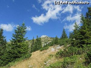 [P15] La iesirea din padure si intrarea in golul alpin » foto by Testosu'
 - 
<span class="allrVoted glyphicon glyphicon-heart hidden" id="av559992"></span>
<a class="m-l-10 hidden" id="sv559992" onclick="voting_Foto_DelVot(,559992,3180)" role="button">șterge vot <span class="glyphicon glyphicon-remove"></span></a>
<a id="v9559992" class=" c-red"  onclick="voting_Foto_SetVot(559992)" role="button"><span class="glyphicon glyphicon-heart-empty"></span> <b>LIKE</b> = Votează poza</a> <img class="hidden"  id="f559992W9" src="/imagini/loader.gif" border="0" /><span class="AjErrMes hidden" id="e559992ErM"></span>
