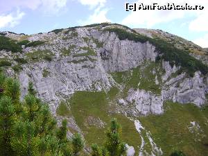 [P04] O parte din caldarea glaciara Gauroane » foto by Testosu'
 - 
<span class="allrVoted glyphicon glyphicon-heart hidden" id="av559981"></span>
<a class="m-l-10 hidden" id="sv559981" onclick="voting_Foto_DelVot(,559981,3180)" role="button">șterge vot <span class="glyphicon glyphicon-remove"></span></a>
<a id="v9559981" class=" c-red"  onclick="voting_Foto_SetVot(559981)" role="button"><span class="glyphicon glyphicon-heart-empty"></span> <b>LIKE</b> = Votează poza</a> <img class="hidden"  id="f559981W9" src="/imagini/loader.gif" border="0" /><span class="AjErrMes hidden" id="e559981ErM"></span>