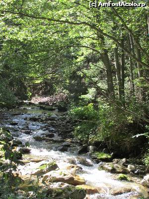 [P11] spre cascada Lazaru » foto by Testosu'
 - 
<span class="allrVoted glyphicon glyphicon-heart hidden" id="av560049"></span>
<a class="m-l-10 hidden" id="sv560049" onclick="voting_Foto_DelVot(,560049,3180)" role="button">șterge vot <span class="glyphicon glyphicon-remove"></span></a>
<a id="v9560049" class=" c-red"  onclick="voting_Foto_SetVot(560049)" role="button"><span class="glyphicon glyphicon-heart-empty"></span> <b>LIKE</b> = Votează poza</a> <img class="hidden"  id="f560049W9" src="/imagini/loader.gif" border="0" /><span class="AjErrMes hidden" id="e560049ErM"></span>