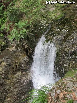 [P13] La Lazaru (una din cascade)  » foto by Testosu'
 - 
<span class="allrVoted glyphicon glyphicon-heart hidden" id="av560054"></span>
<a class="m-l-10 hidden" id="sv560054" onclick="voting_Foto_DelVot(,560054,3180)" role="button">șterge vot <span class="glyphicon glyphicon-remove"></span></a>
<a id="v9560054" class=" c-red"  onclick="voting_Foto_SetVot(560054)" role="button"><span class="glyphicon glyphicon-heart-empty"></span> <b>LIKE</b> = Votează poza</a> <img class="hidden"  id="f560054W9" src="/imagini/loader.gif" border="0" /><span class="AjErrMes hidden" id="e560054ErM"></span>