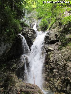 [P19] Spectaculoasa cascada de pe Valea Marii » foto by Testosu'
 - 
<span class="allrVoted glyphicon glyphicon-heart hidden" id="av560073"></span>
<a class="m-l-10 hidden" id="sv560073" onclick="voting_Foto_DelVot(,560073,3180)" role="button">șterge vot <span class="glyphicon glyphicon-remove"></span></a>
<a id="v9560073" class=" c-red"  onclick="voting_Foto_SetVot(560073)" role="button"><span class="glyphicon glyphicon-heart-empty"></span> <b>LIKE</b> = Votează poza</a> <img class="hidden"  id="f560073W9" src="/imagini/loader.gif" border="0" /><span class="AjErrMes hidden" id="e560073ErM"></span>