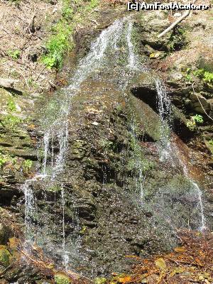 [P07] o micuta cascada pe drumul catre Pestera de Gheata » foto by Testosu'
 - 
<span class="allrVoted glyphicon glyphicon-heart hidden" id="av560037"></span>
<a class="m-l-10 hidden" id="sv560037" onclick="voting_Foto_DelVot(,560037,3180)" role="button">șterge vot <span class="glyphicon glyphicon-remove"></span></a>
<a id="v9560037" class=" c-red"  onclick="voting_Foto_SetVot(560037)" role="button"><span class="glyphicon glyphicon-heart-empty"></span> <b>LIKE</b> = Votează poza</a> <img class="hidden"  id="f560037W9" src="/imagini/loader.gif" border="0" /><span class="AjErrMes hidden" id="e560037ErM"></span>