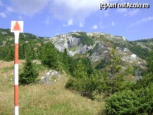 [P02] spre Piatra Iorgovanului » foto by Testosu'
 - 
<span class="allrVoted glyphicon glyphicon-heart hidden" id="av617404"></span>
<a class="m-l-10 hidden" id="sv617404" onclick="voting_Foto_DelVot(,617404,3180)" role="button">șterge vot <span class="glyphicon glyphicon-remove"></span></a>
<a id="v9617404" class=" c-red"  onclick="voting_Foto_SetVot(617404)" role="button"><span class="glyphicon glyphicon-heart-empty"></span> <b>LIKE</b> = Votează poza</a> <img class="hidden"  id="f617404W9" src="/imagini/loader.gif" border="0" /><span class="AjErrMes hidden" id="e617404ErM"></span>
