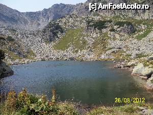[P11] Retezat- Lacul Florica » foto by Lumis66
 - 
<span class="allrVoted glyphicon glyphicon-heart hidden" id="av398211"></span>
<a class="m-l-10 hidden" id="sv398211" onclick="voting_Foto_DelVot(,398211,3180)" role="button">șterge vot <span class="glyphicon glyphicon-remove"></span></a>
<a id="v9398211" class=" c-red"  onclick="voting_Foto_SetVot(398211)" role="button"><span class="glyphicon glyphicon-heart-empty"></span> <b>LIKE</b> = Votează poza</a> <img class="hidden"  id="f398211W9" src="/imagini/loader.gif" border="0" /><span class="AjErrMes hidden" id="e398211ErM"></span>