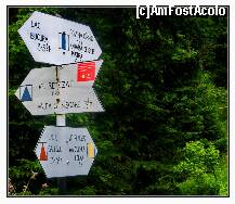 [P12] Variante de traseu in apropierea cabanei Pietrele » foto by private_rayen
 - 
<span class="allrVoted glyphicon glyphicon-heart hidden" id="av278557"></span>
<a class="m-l-10 hidden" id="sv278557" onclick="voting_Foto_DelVot(,278557,3180)" role="button">șterge vot <span class="glyphicon glyphicon-remove"></span></a>
<a id="v9278557" class=" c-red"  onclick="voting_Foto_SetVot(278557)" role="button"><span class="glyphicon glyphicon-heart-empty"></span> <b>LIKE</b> = Votează poza</a> <img class="hidden"  id="f278557W9" src="/imagini/loader.gif" border="0" /><span class="AjErrMes hidden" id="e278557ErM"></span>