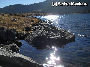 [P13] Sclipiri de argint » foto by noi doi
 - 
<span class="allrVoted glyphicon glyphicon-heart hidden" id="av479720"></span>
<a class="m-l-10 hidden" id="sv479720" onclick="voting_Foto_DelVot(,479720,3180)" role="button">șterge vot <span class="glyphicon glyphicon-remove"></span></a>
<a id="v9479720" class=" c-red"  onclick="voting_Foto_SetVot(479720)" role="button"><span class="glyphicon glyphicon-heart-empty"></span> <b>LIKE</b> = Votează poza</a> <img class="hidden"  id="f479720W9" src="/imagini/loader.gif" border="0" /><span class="AjErrMes hidden" id="e479720ErM"></span>