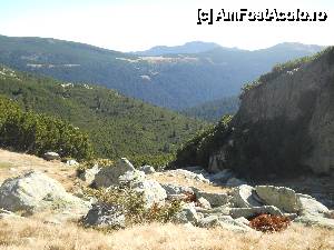[P06]  -- <small>// FĂRĂ DESCRIERE</small> » foto by noi doi
 - 
<span class="allrVoted glyphicon glyphicon-heart hidden" id="av479709"></span>
<a class="m-l-10 hidden" id="sv479709" onclick="voting_Foto_DelVot(,479709,3180)" role="button">șterge vot <span class="glyphicon glyphicon-remove"></span></a>
<a id="v9479709" class=" c-red"  onclick="voting_Foto_SetVot(479709)" role="button"><span class="glyphicon glyphicon-heart-empty"></span> <b>LIKE</b> = Votează poza</a> <img class="hidden"  id="f479709W9" src="/imagini/loader.gif" border="0" /><span class="AjErrMes hidden" id="e479709ErM"></span>