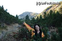 [P24]  -- <small>// FĂRĂ DESCRIERE</small> » foto by mariana
 - 
<span class="allrVoted glyphicon glyphicon-heart hidden" id="av158386"></span>
<a class="m-l-10 hidden" id="sv158386" onclick="voting_Foto_DelVot(,158386,3180)" role="button">șterge vot <span class="glyphicon glyphicon-remove"></span></a>
<a id="v9158386" class=" c-red"  onclick="voting_Foto_SetVot(158386)" role="button"><span class="glyphicon glyphicon-heart-empty"></span> <b>LIKE</b> = Votează poza</a> <img class="hidden"  id="f158386W9" src="/imagini/loader.gif" border="0" /><span class="AjErrMes hidden" id="e158386ErM"></span>