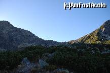 [P27]  -- <small>// FĂRĂ DESCRIERE</small> » foto by mariana
 - 
<span class="allrVoted glyphicon glyphicon-heart hidden" id="av158389"></span>
<a class="m-l-10 hidden" id="sv158389" onclick="voting_Foto_DelVot(,158389,3180)" role="button">șterge vot <span class="glyphicon glyphicon-remove"></span></a>
<a id="v9158389" class=" c-red"  onclick="voting_Foto_SetVot(158389)" role="button"><span class="glyphicon glyphicon-heart-empty"></span> <b>LIKE</b> = Votează poza</a> <img class="hidden"  id="f158389W9" src="/imagini/loader.gif" border="0" /><span class="AjErrMes hidden" id="e158389ErM"></span>