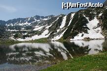 [P14] Lacul Galesu , Muntii Retezat » foto by mariana
 - 
<span class="allrVoted glyphicon glyphicon-heart hidden" id="av161163"></span>
<a class="m-l-10 hidden" id="sv161163" onclick="voting_Foto_DelVot(,161163,3180)" role="button">șterge vot <span class="glyphicon glyphicon-remove"></span></a>
<a id="v9161163" class=" c-red"  onclick="voting_Foto_SetVot(161163)" role="button"><span class="glyphicon glyphicon-heart-empty"></span> <b>LIKE</b> = Votează poza</a> <img class="hidden"  id="f161163W9" src="/imagini/loader.gif" border="0" /><span class="AjErrMes hidden" id="e161163ErM"></span>