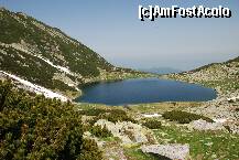 [P15] Lacul Galesu , Muntii Retezat » foto by mariana
 - 
<span class="allrVoted glyphicon glyphicon-heart hidden" id="av161164"></span>
<a class="m-l-10 hidden" id="sv161164" onclick="voting_Foto_DelVot(,161164,3180)" role="button">șterge vot <span class="glyphicon glyphicon-remove"></span></a>
<a id="v9161164" class=" c-red"  onclick="voting_Foto_SetVot(161164)" role="button"><span class="glyphicon glyphicon-heart-empty"></span> <b>LIKE</b> = Votează poza</a> <img class="hidden"  id="f161164W9" src="/imagini/loader.gif" border="0" /><span class="AjErrMes hidden" id="e161164ErM"></span>