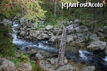 [P28] Podet peste apa in drum spre Lacul Galesu . Muntii Retezat . » foto by mariana
 - 
<span class="allrVoted glyphicon glyphicon-heart hidden" id="av161177"></span>
<a class="m-l-10 hidden" id="sv161177" onclick="voting_Foto_DelVot(,161177,3180)" role="button">șterge vot <span class="glyphicon glyphicon-remove"></span></a>
<a id="v9161177" class=" c-red"  onclick="voting_Foto_SetVot(161177)" role="button"><span class="glyphicon glyphicon-heart-empty"></span> <b>LIKE</b> = Votează poza</a> <img class="hidden"  id="f161177W9" src="/imagini/loader.gif" border="0" /><span class="AjErrMes hidden" id="e161177ErM"></span>