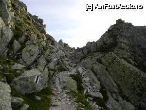 [P03]  -- <small>// FĂRĂ DESCRIERE</small> » foto by costin.calin
 - 
<span class="allrVoted glyphicon glyphicon-heart hidden" id="av480417"></span>
<a class="m-l-10 hidden" id="sv480417" onclick="voting_Foto_DelVot(,480417,3180)" role="button">șterge vot <span class="glyphicon glyphicon-remove"></span></a>
<a id="v9480417" class=" c-red"  onclick="voting_Foto_SetVot(480417)" role="button"><span class="glyphicon glyphicon-heart-empty"></span> <b>LIKE</b> = Votează poza</a> <img class="hidden"  id="f480417W9" src="/imagini/loader.gif" border="0" /><span class="AjErrMes hidden" id="e480417ErM"></span>